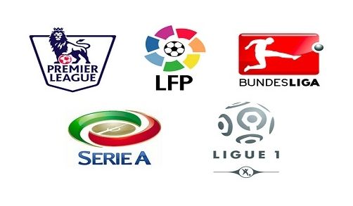 看到阳光的 看到阳光的